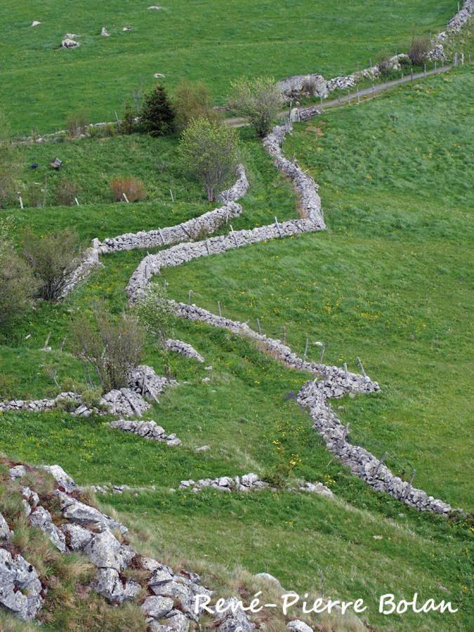 Gites Basques Laguiole Εξωτερικό φωτογραφία